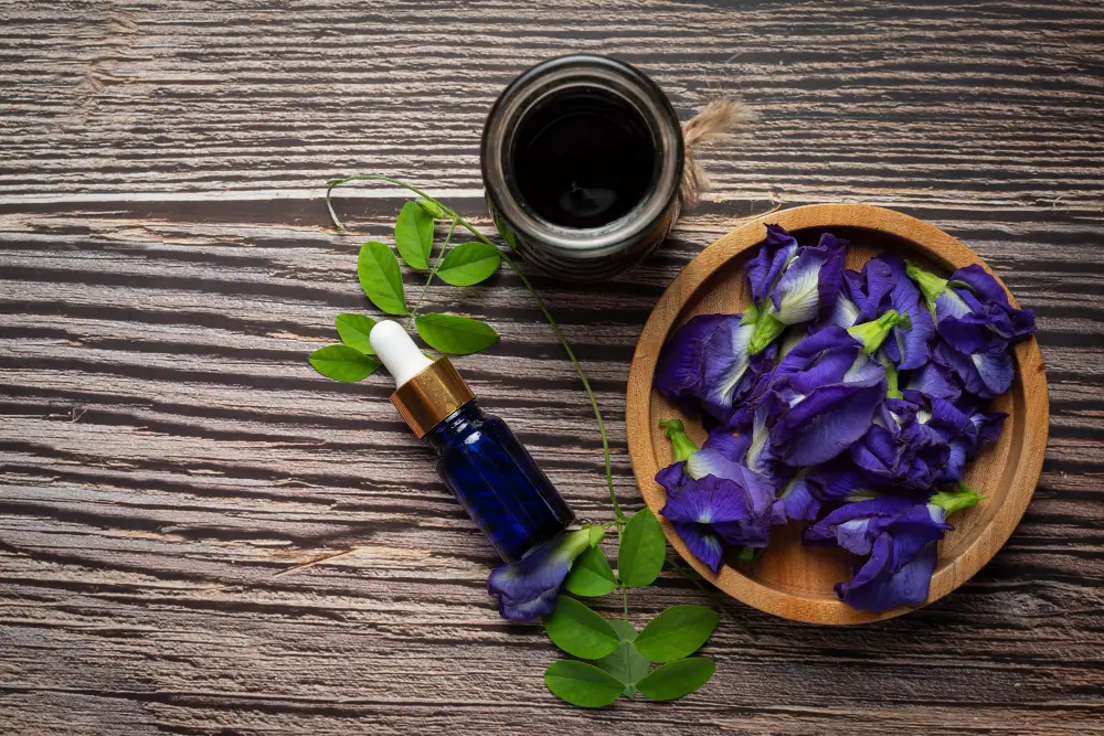 terapia com floral