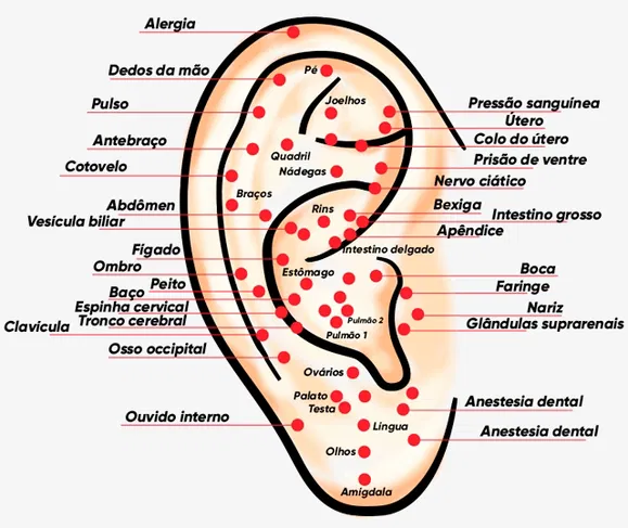 O que é Auriculoterapia e quais seus benefícios? 1 pontos da auriculoterapia